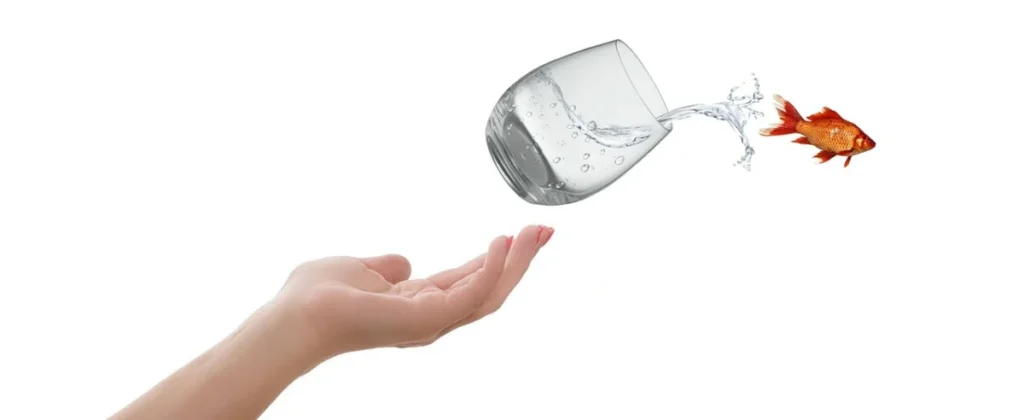 가입 전 꼭 점검해야 할 주의사항: 면책, 감액, 고지의무을 차분히 검토하는 한국 상담 환경